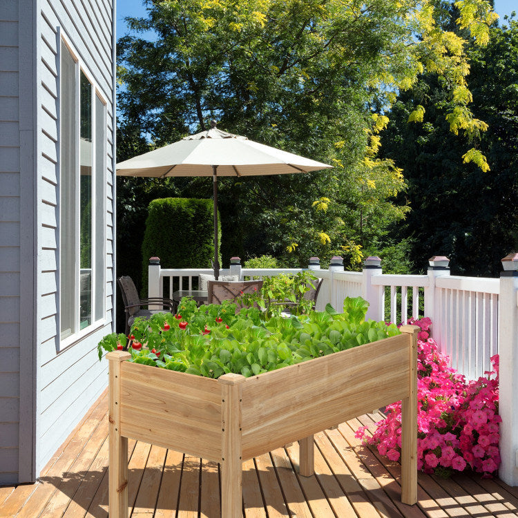 Wooden Raised Vegetable Garden Bed Elevated Grow Vegetable Planter Doba